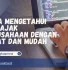 cara mengetahui ar pajak perusahaan